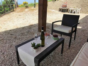 5-agriturismo-con-piscina-coperta (21)